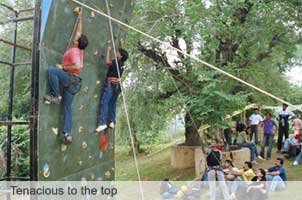 Tenacious to the top