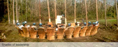 Shades of leadership